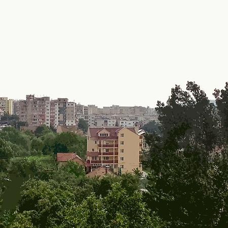 Отель Vila Rosa Клуж-Напока Экстерьер фото